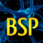 brainscience android application logo